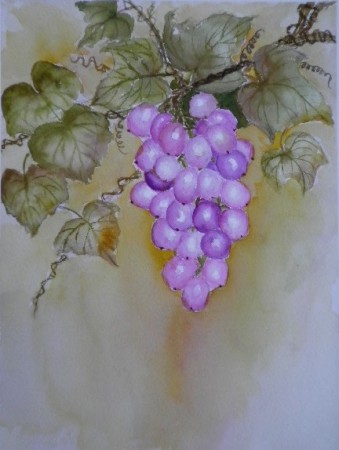 滝本佐千枝　ブドウ　Ｆ４